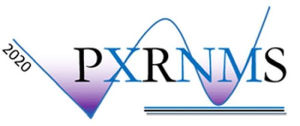 Конференция PXRNMS